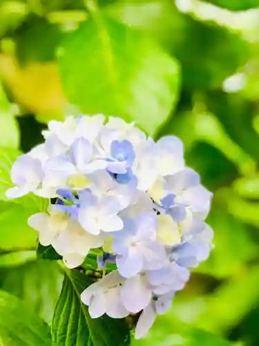 楽法寺（雨引観音）の自然