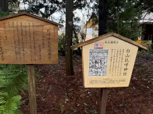 白山比咩神社の{uncategorized: "未分類", other: "その他", undefined: "問題あり", building: "その他建物", grave: "お墓", sacred_gate: "鳥居", guardian: "狛犬", statue: "像", buddha: "仏像", history: "歴史", nature: "自然", garden: "庭園", animal: "動物", pagoda: "塔", temizu: "手水舎", mountain_gate: "山門・神門", sanctuary: "本殿・本堂", subordinate: "末社・摂社", art: "芸術", scenery: "景色", jizo: "地蔵", ema: "絵馬", goshuin: "御朱印", omikuji: "おみくじ", items: "授与品その他", amulet: "お守り", goshuincho: "御朱印帳", eats: "食事", festival: "お祭り", votive_dance: "神楽", shichigosan: "七五三参", wedding: "結婚式", experience: "体験その他", initially: "初詣", around: "周辺", anti_infection: "感染症対策"}