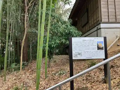 下総国三山　二宮神社の{uncategorized: "未分類", other: "その他", undefined: "問題あり", building: "その他建物", grave: "お墓", sacred_gate: "鳥居", guardian: "狛犬", statue: "像", buddha: "仏像", history: "歴史", nature: "自然", garden: "庭園", animal: "動物", pagoda: "塔", temizu: "手水舎", mountain_gate: "山門・神門", sanctuary: "本殿・本堂", subordinate: "末社・摂社", art: "芸術", scenery: "景色", jizo: "地蔵", ema: "絵馬", goshuin: "御朱印", omikuji: "おみくじ", items: "授与品その他", amulet: "お守り", goshuincho: "御朱印帳", eats: "食事", festival: "お祭り", votive_dance: "神楽", shichigosan: "七五三参", wedding: "結婚式", experience: "体験その他", initially: "初詣", around: "周辺", anti_infection: "感染症対策"}