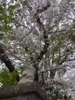 観音寺(世田谷山観音寺)(東京都)