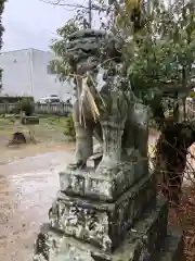 鴨島八幡神社の狛犬