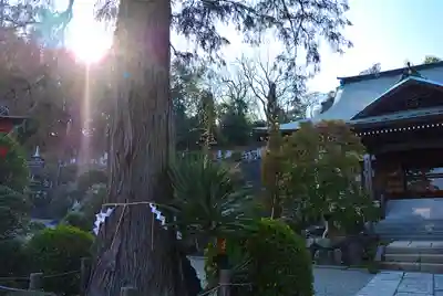 金剛寺(神奈川県)