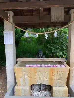 星宮神社の手水舎