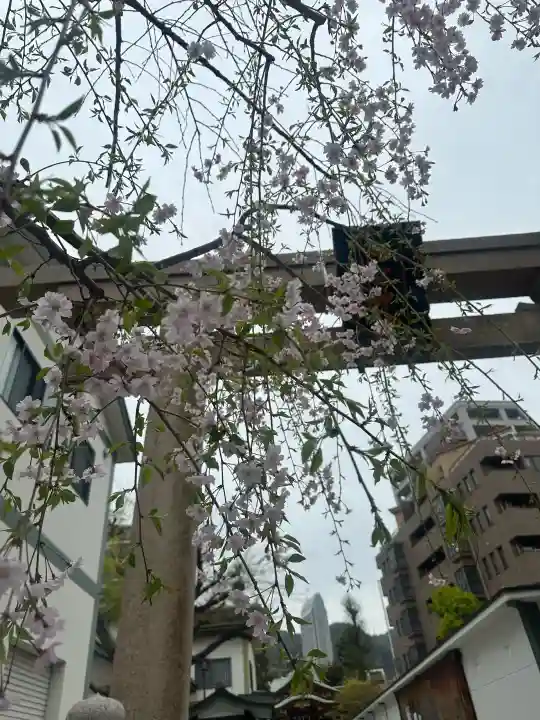 二宮神社の{uncategorized: "未分類", other: "その他", undefined: "問題あり", building: "その他建物", grave: "お墓", sacred_gate: "鳥居", guardian: "狛犬", statue: "像", buddha: "仏像", history: "歴史", nature: "自然", garden: "庭園", animal: "動物", pagoda: "塔", temizu: "手水舎", mountain_gate: "山門・神門", sanctuary: "本殿・本堂", subordinate: "末社・摂社", art: "芸術", scenery: "景色", jizo: "地蔵", ema: "絵馬", goshuin: "御朱印", omikuji: "おみくじ", items: "授与品その他", amulet: "お守り", goshuincho: "御朱印帳", eats: "食事", festival: "お祭り", votive_dance: "神楽", shichigosan: "七五三参", wedding: "結婚式", experience: "体験その他", initially: "初詣", around: "周辺", anti_infection: "感染症対策"}