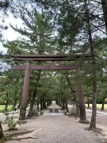 出雲大社の鳥居