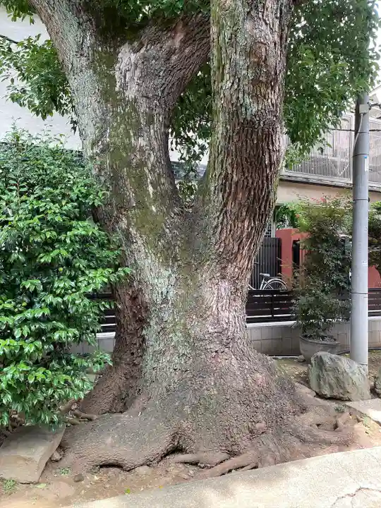 玉林寺(東京都)