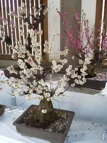 湯島天満宮のその他建物