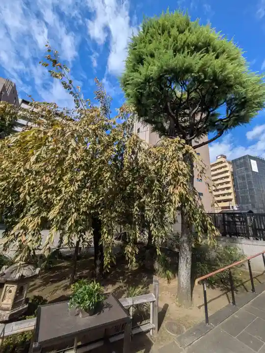 光明寺(東京都)