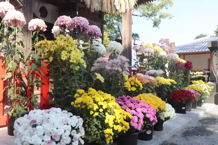 美奈宜神社(福岡県)