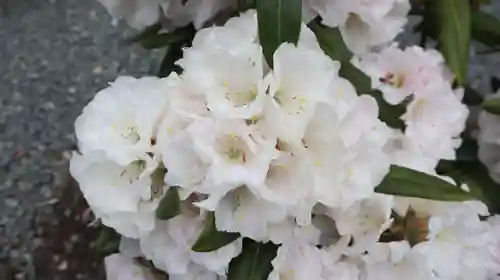 津観音(三重県)