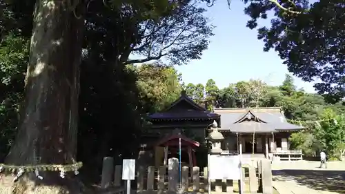 松澤 熊野神社の自然