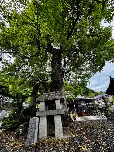 見河山　妙雲寺(京都府)
