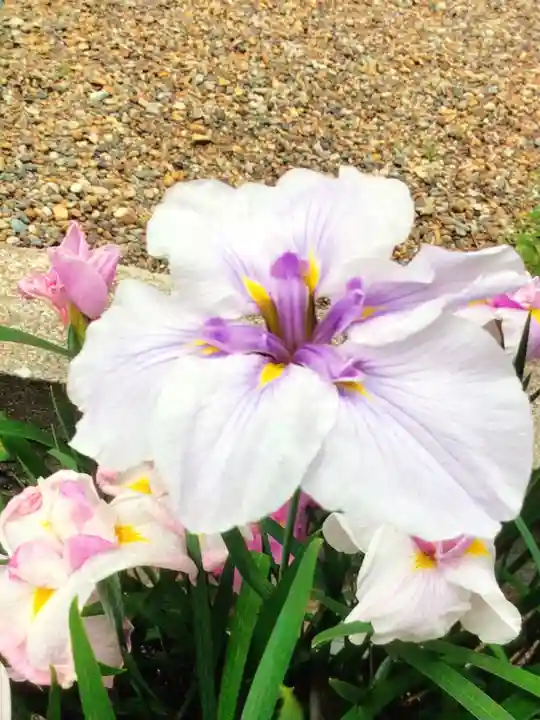 磐井神社(東京都)