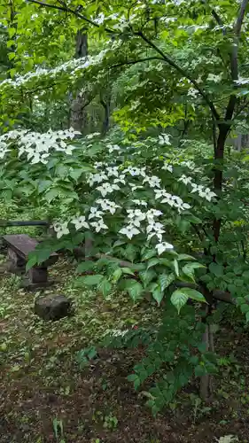 音更神社の自然