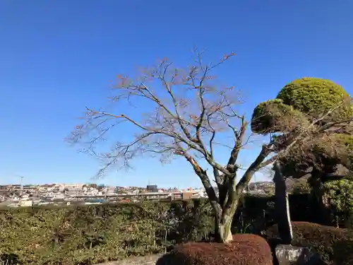 松門寺(東京都)