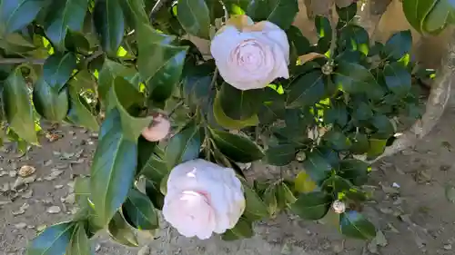 三津厳島神社(愛媛県)