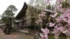 清雲寺の建物その他