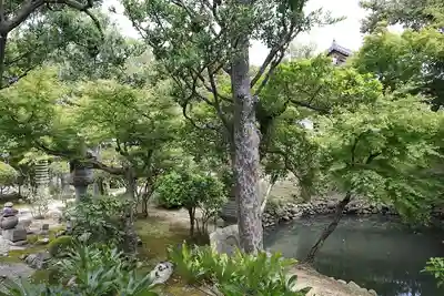 新薬師寺(奈良県)