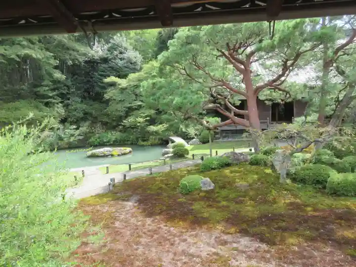 青蓮院門跡(京都府)