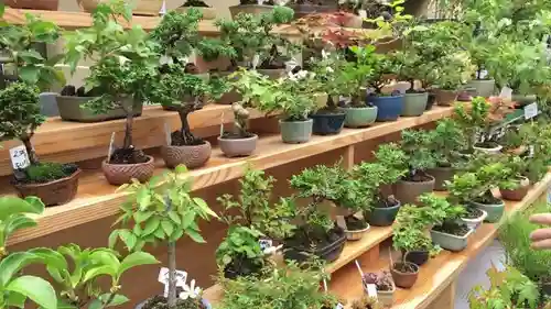 浅草富士浅間神社の周辺