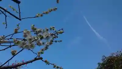 布多天神社(東京都)