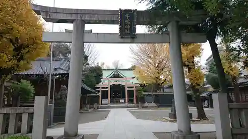 牛嶋神社の鳥居