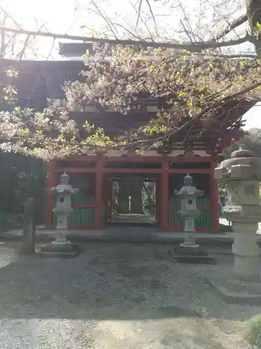 岩舟山高勝寺の山門・神門