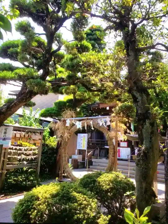 鳩森八幡神社の自然
