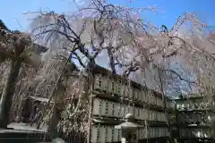 大石神社(京都府)