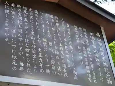 白山神社(岐阜県)