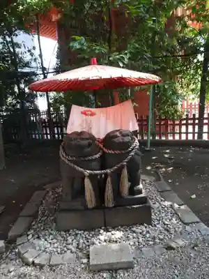 浅草神社の狛犬