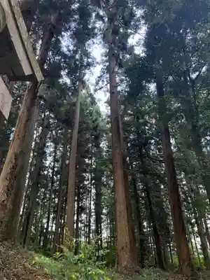 大宮温泉神社(栃木県)