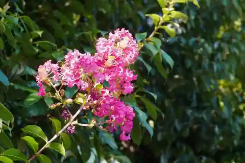 善法律寺(京都府)