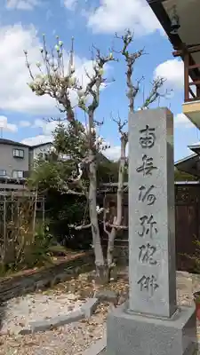 阿弥陀院(大阪府)