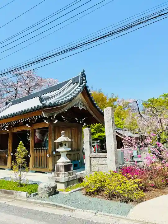 日限地蔵尊 観音院の{uncategorized: "未分類", other: "その他", undefined: "問題あり", building: "その他建物", grave: "お墓", sacred_gate: "鳥居", guardian: "狛犬", statue: "像", buddha: "仏像", history: "歴史", nature: "自然", garden: "庭園", animal: "動物", pagoda: "塔", temizu: "手水舎", mountain_gate: "山門・神門", sanctuary: "本殿・本堂", subordinate: "末社・摂社", art: "芸術", scenery: "景色", jizo: "地蔵", ema: "絵馬", goshuin: "御朱印", omikuji: "おみくじ", items: "授与品その他", amulet: "お守り", goshuincho: "御朱印帳", eats: "食事", festival: "お祭り", votive_dance: "神楽", shichigosan: "七五三参", wedding: "結婚式", experience: "体験その他", initially: "初詣", around: "周辺", anti_infection: "感染症対策"}