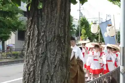 賀茂御祖神社（下鴨神社）(京都府)
