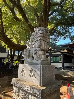 穴八幡宮(東京都)