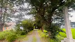 伊牟移神社(福井県)