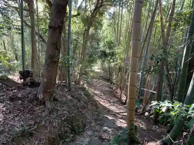 浅間神社の周辺