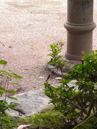 由加神社（和気由加神社）の動物