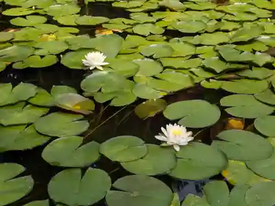 平安神宮(京都府)