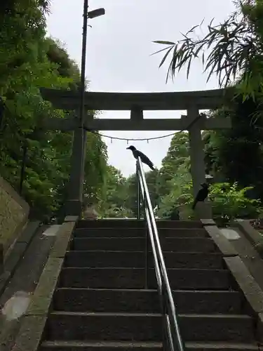 月読神社(神奈川県)