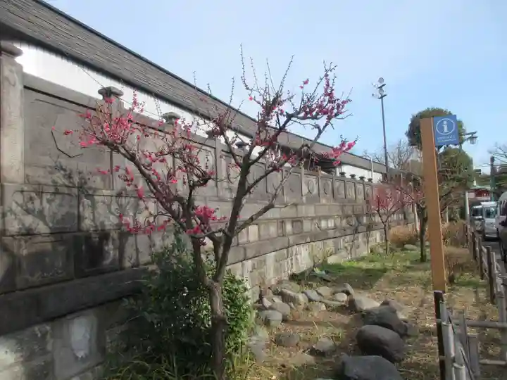 成田山深川不動堂(新勝寺東京別院)(東京都)