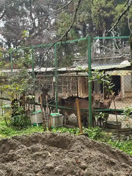 香取神宮(千葉県)
