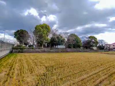 七所社(神尾町)の自然