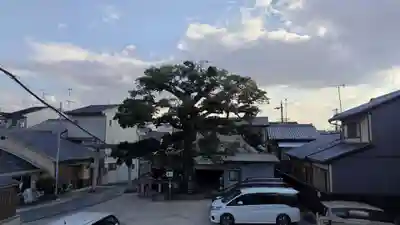 櫟谷七野神社(京都府)