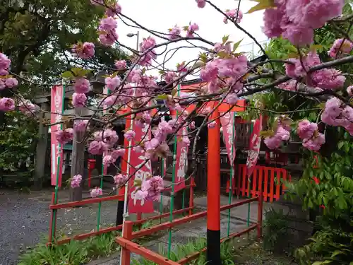 熊野神社の自然