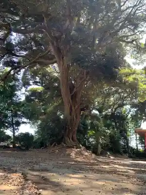 宇賀神社(千葉県)