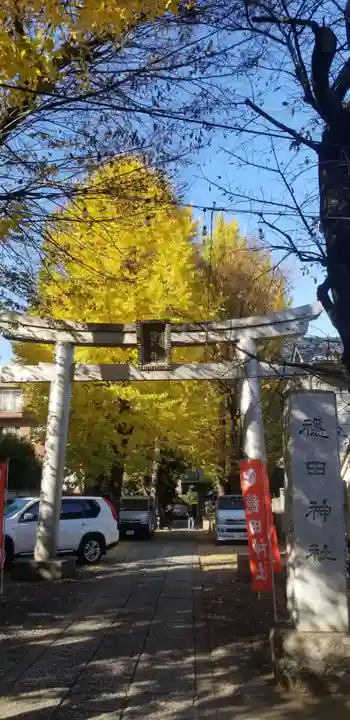 穏田神社の鳥居