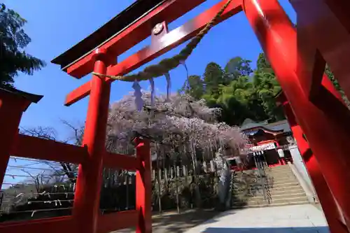 小川諏訪神社の鳥居